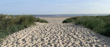Playa en los alrededores