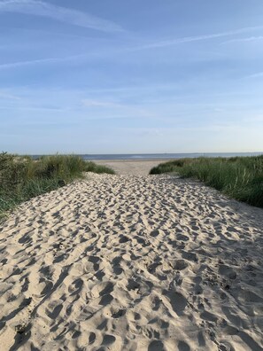 A sandy beach path leading to the sea, flanked by grass.