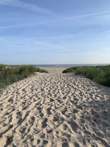 Cottage coast in South Holland behind the dunes by the sea