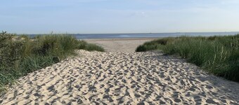 Cottage coast in South Holland behind the dunes by the sea