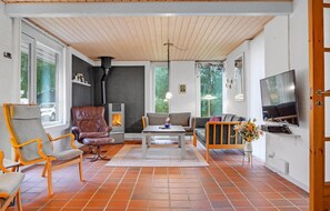 Télévision, cheminée, table de tennis de table, chaîne hi-fi