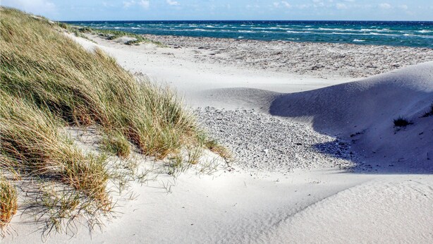 A beach with sand dunes and sparse vegetation.
