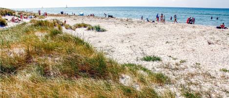 بالقرب من الشاطئ