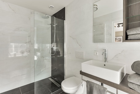 Shower, hair dryer, towels. Hotel aan de Haven (room 2)
