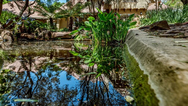 Garden - Six Sandton (Sandton)