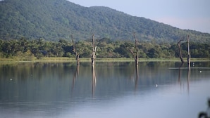 Un lac paisible où se reflètent les arbres, avec une montagne en arrière-plan.