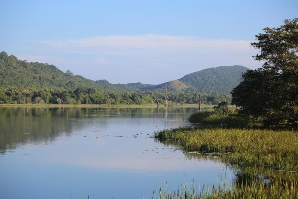 Un lago tranquilo rodeado de vegetación y colinas.