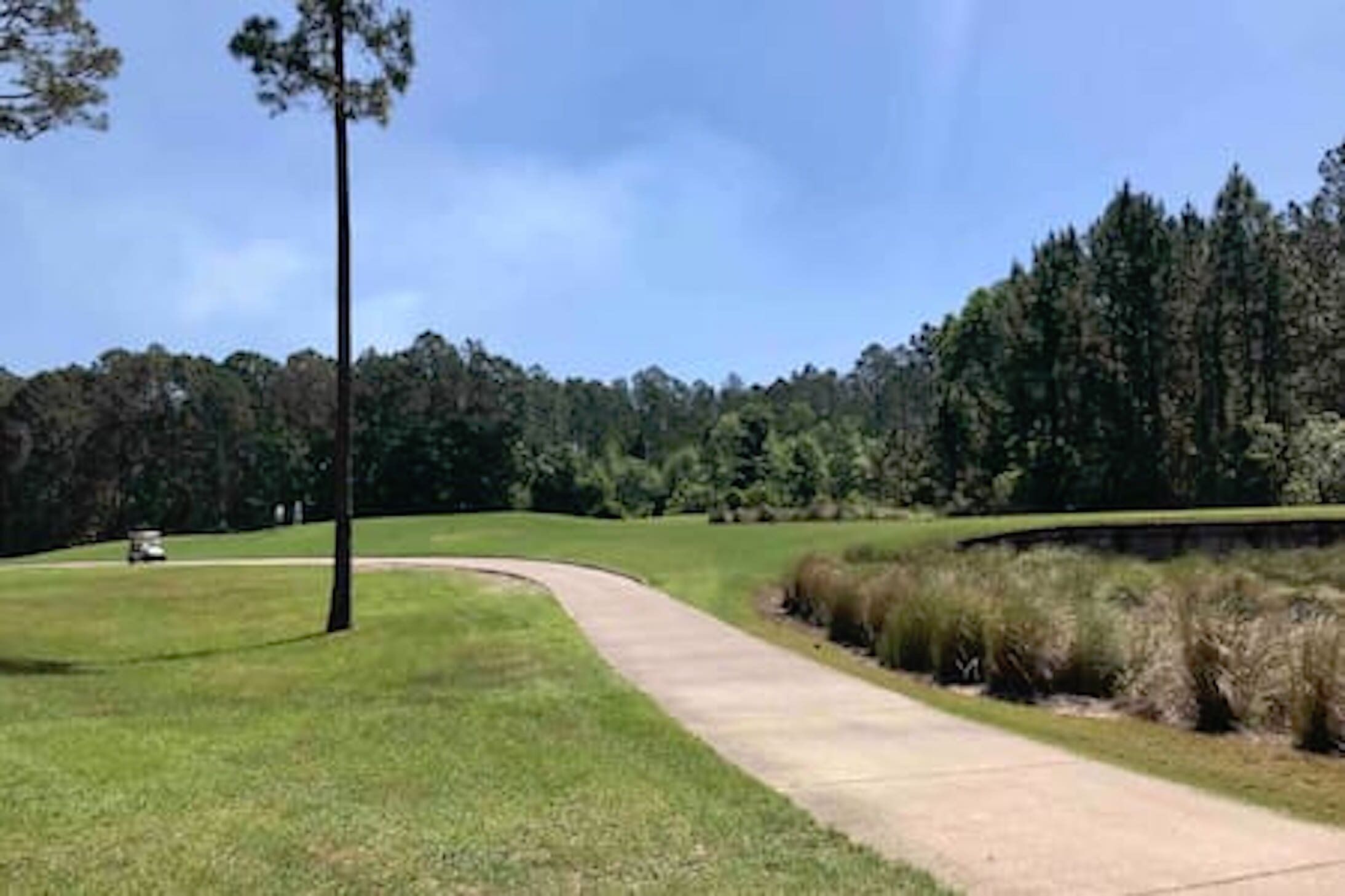 A golf course with a clear path, a flagstick, and a dense forest in the background.