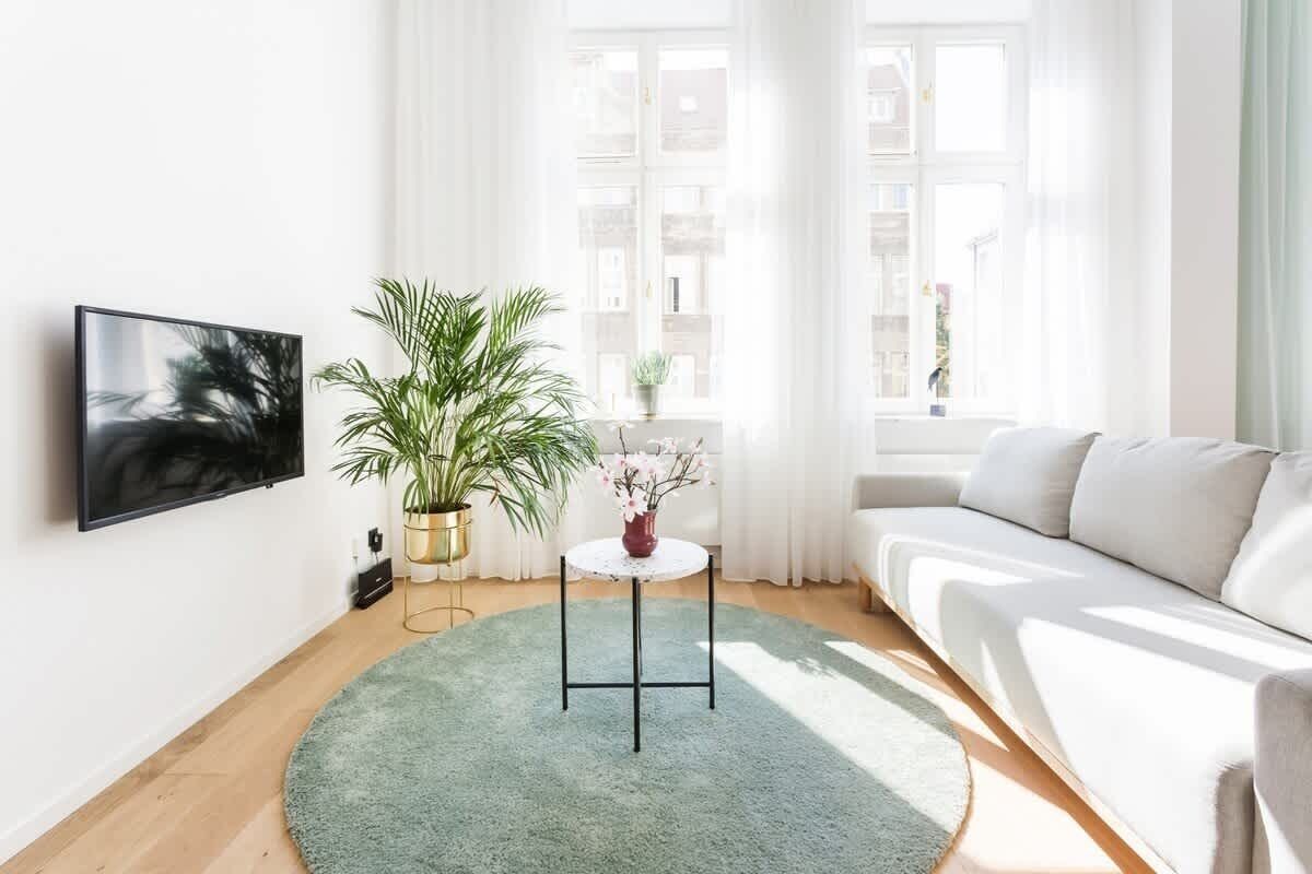 Bright and cosy living area with flat-screen television, coffee table, and double sofa bed for comfortable rest.