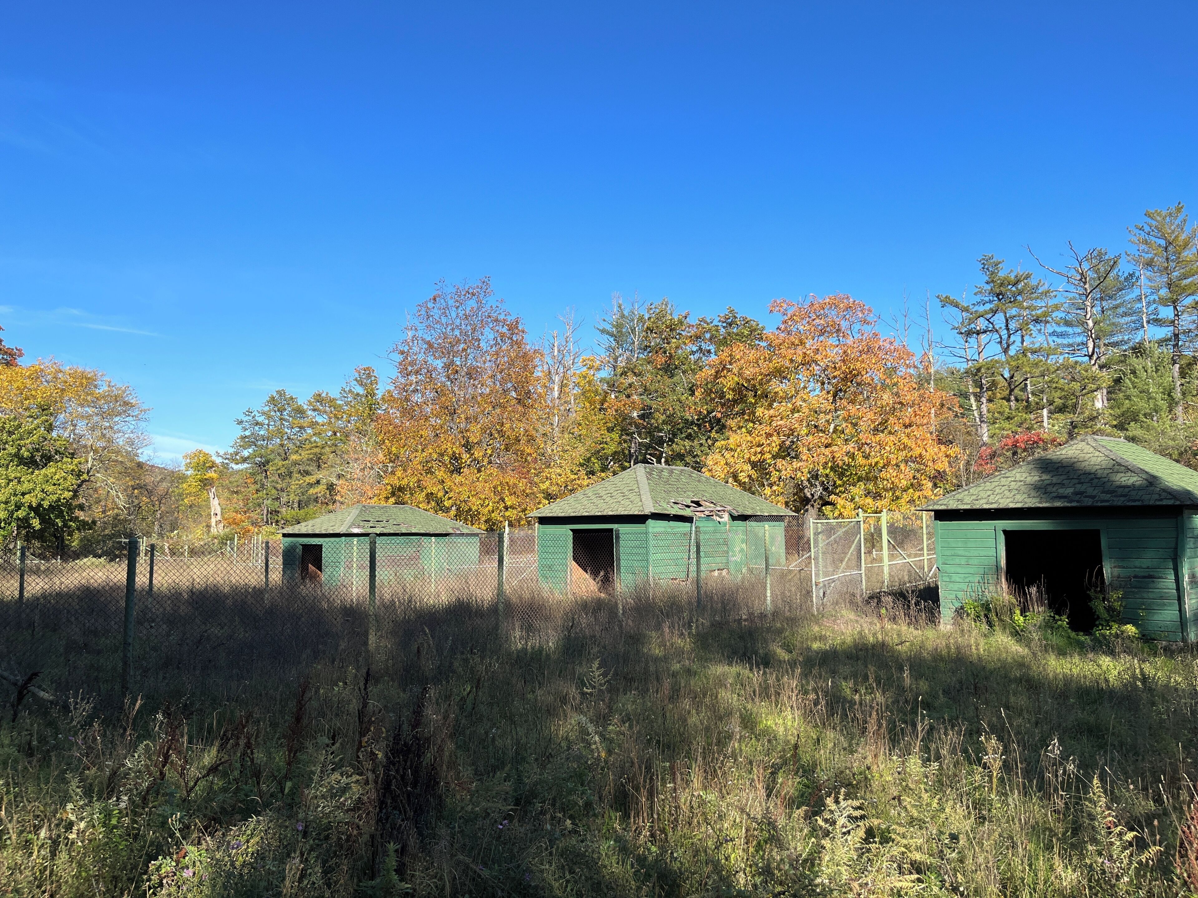 A fenced area with three green-roofed structures, surrounded by tall grass and trees with autumn foliage.