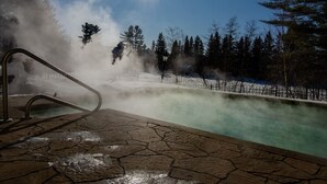 A hot spring with steam rising, surrounded by trees and a clear sky.