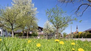 Un champ d’herbe verte parsemé de fleurs jaunes, avec des arbres en arrière-plan.