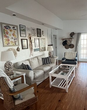 TV, books, video library