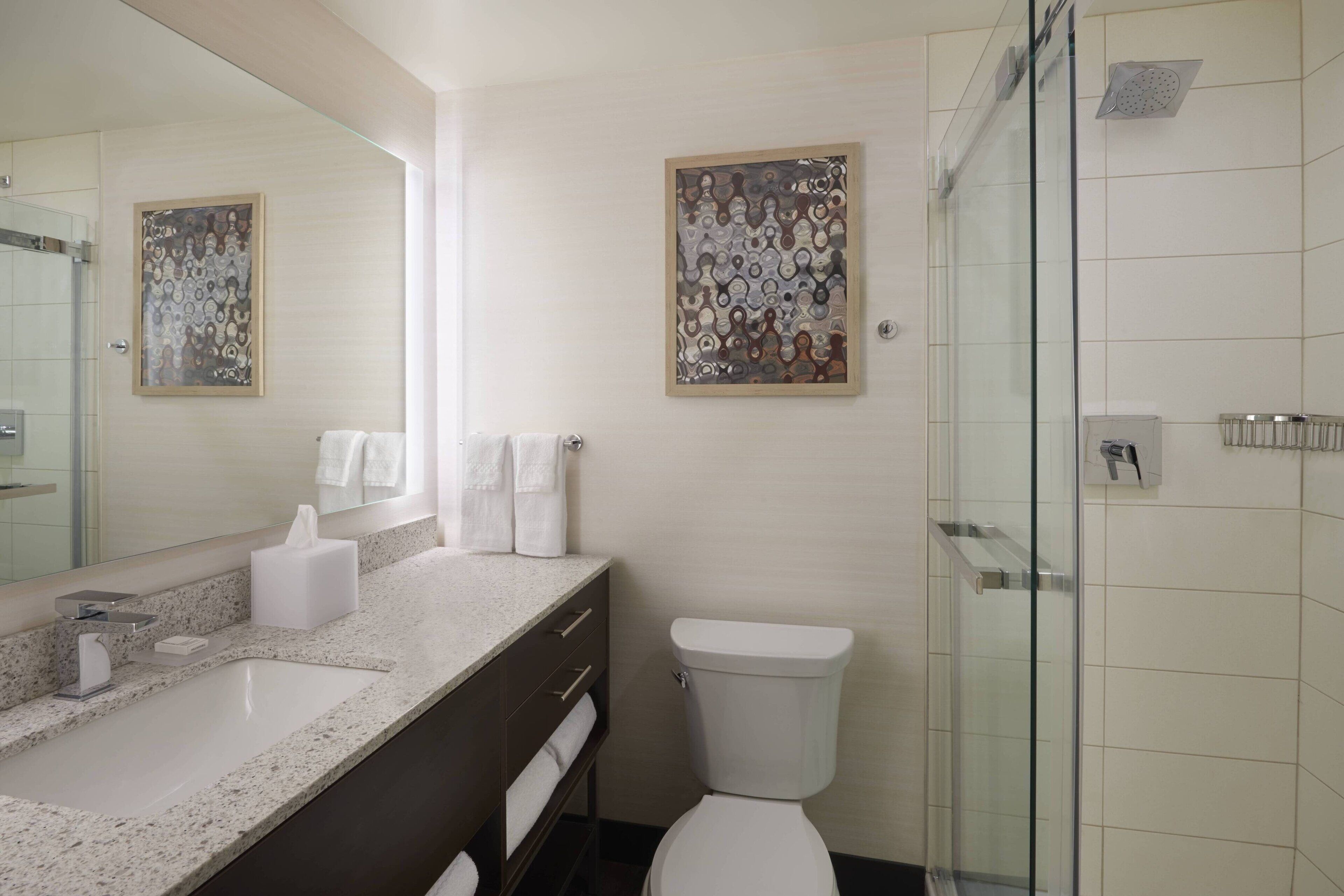 combined shower/bathtub, free toiletries, hair dryer, towels