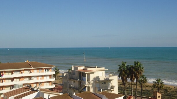 A coastal view with a building complex, including multi-story structures with balconies, a beach, and palm trees. - P. Maritimo 40 Lateral LEK (Peñiscola)