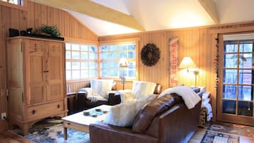 智能电视、壁炉、DVD 播放器、书