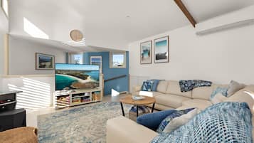 Flat-screen TV, video game console, Netflix, DVD player