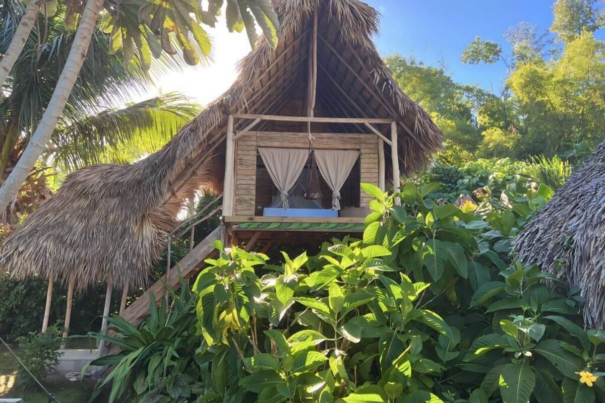 A thatched-roof hut with a wooden platform and curtains, surrounded by lush greenery.