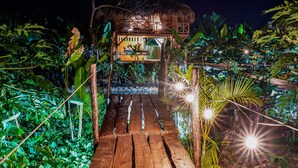 Jungle Bungalows | In-room safe, desk, laptop workspace, individually decorated - Samana Ecolodge (El Limon)
