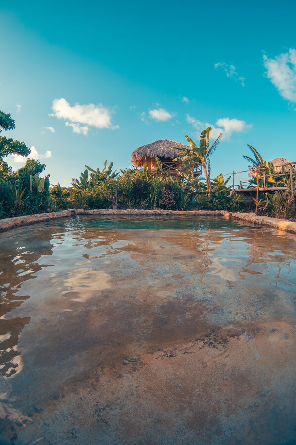 Jungle Bungalows