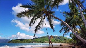 Ecotours - Samana Ecolodge (El Limon)
