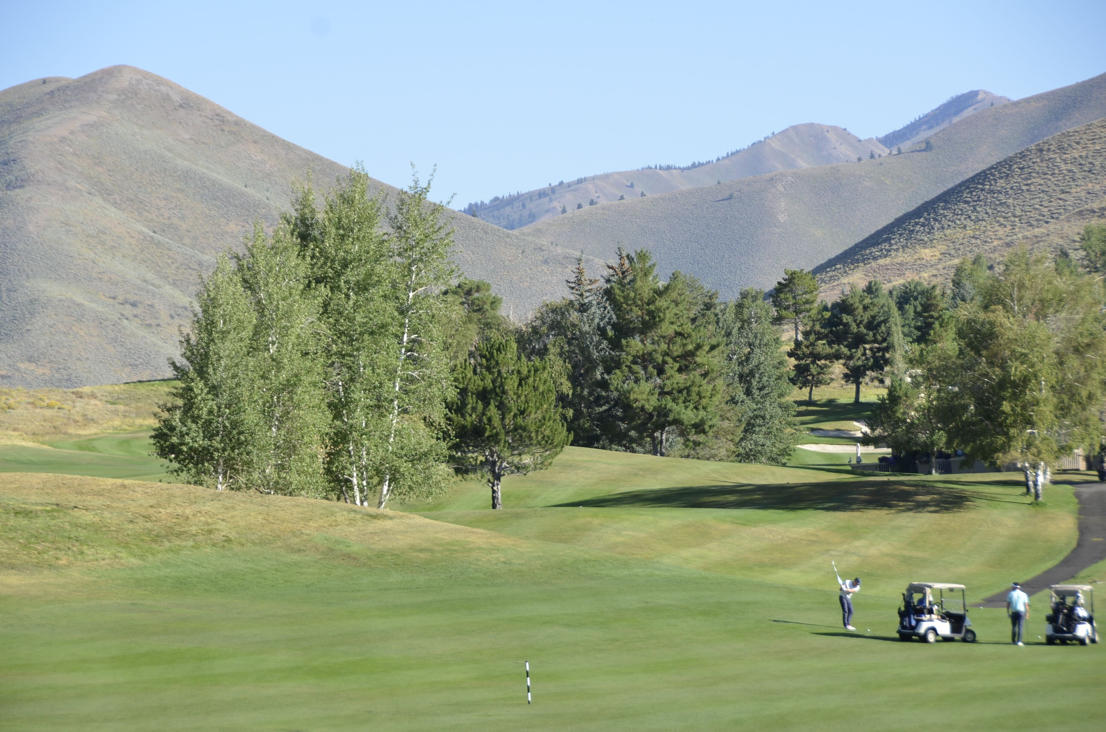Un parcours de golf avec un ciel dégagé, des collines ondoyantes et quelques arbres.