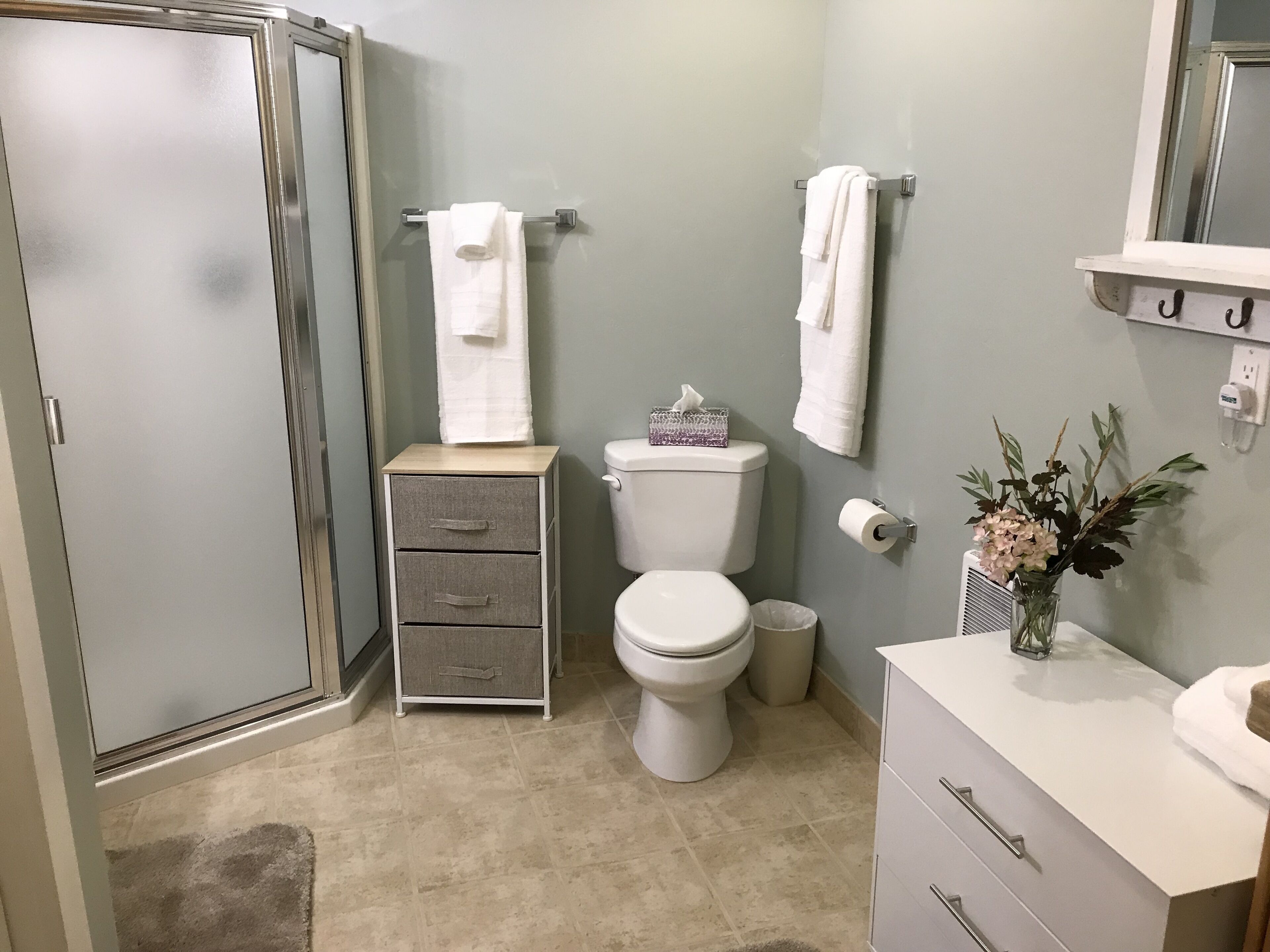 Une salle de bain équipée de toilettes, d’un lavabo, d’un miroir et d’une douche.