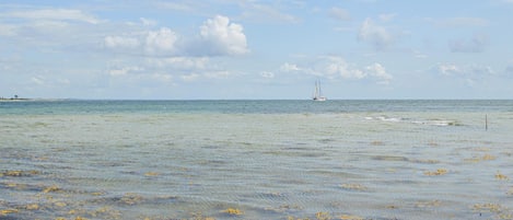 In Strandnähe, Angeln