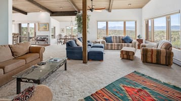 TV, fireplace, books