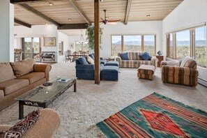 TV, fireplace, books