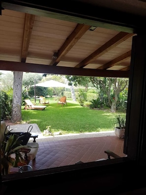 Property grounds - Relax and nature a few steps from Tropea  (Santa Domenica)