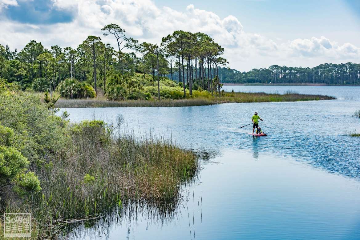 A calm lake surrounded by dense trees and vegetation.