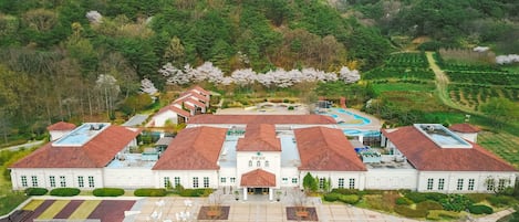 Varme kilder/mineralkilder