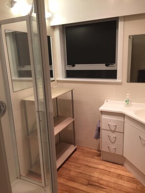 Combined shower/tub