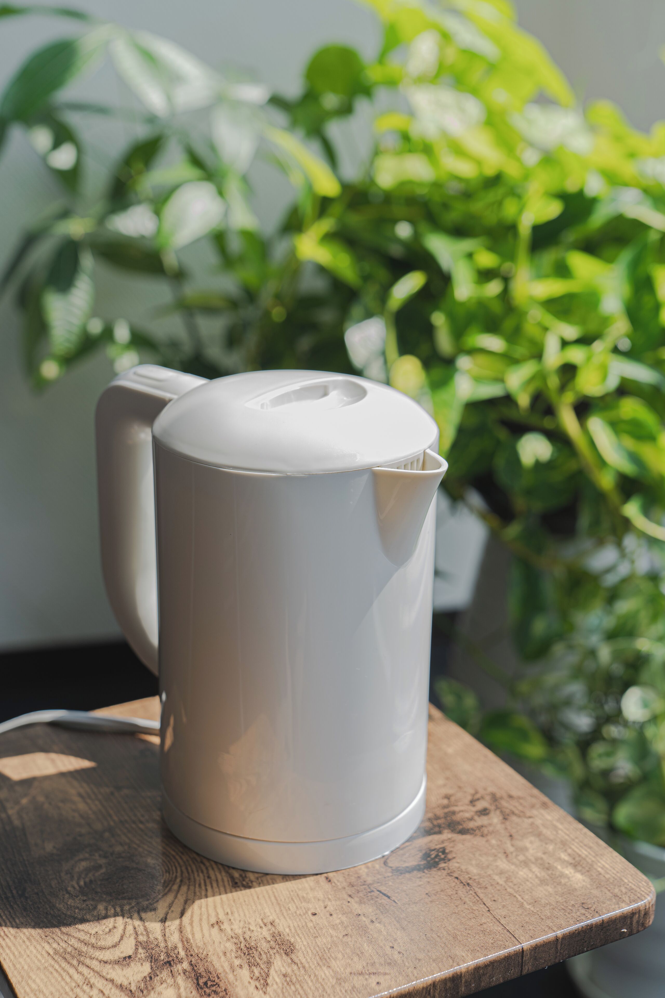 A white electric kettle on a wooden table with a plant in the background.