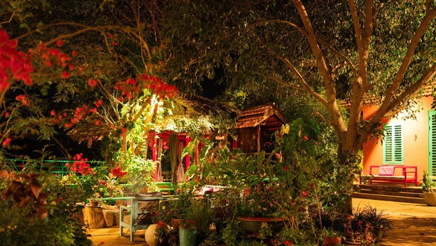 Un jardín bien iluminado con plantas en macetas y un edificio rústico.