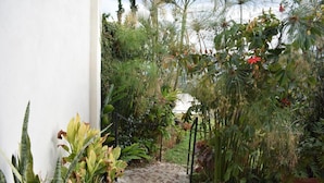 Property grounds - Loma Tranquila (La Virgen)