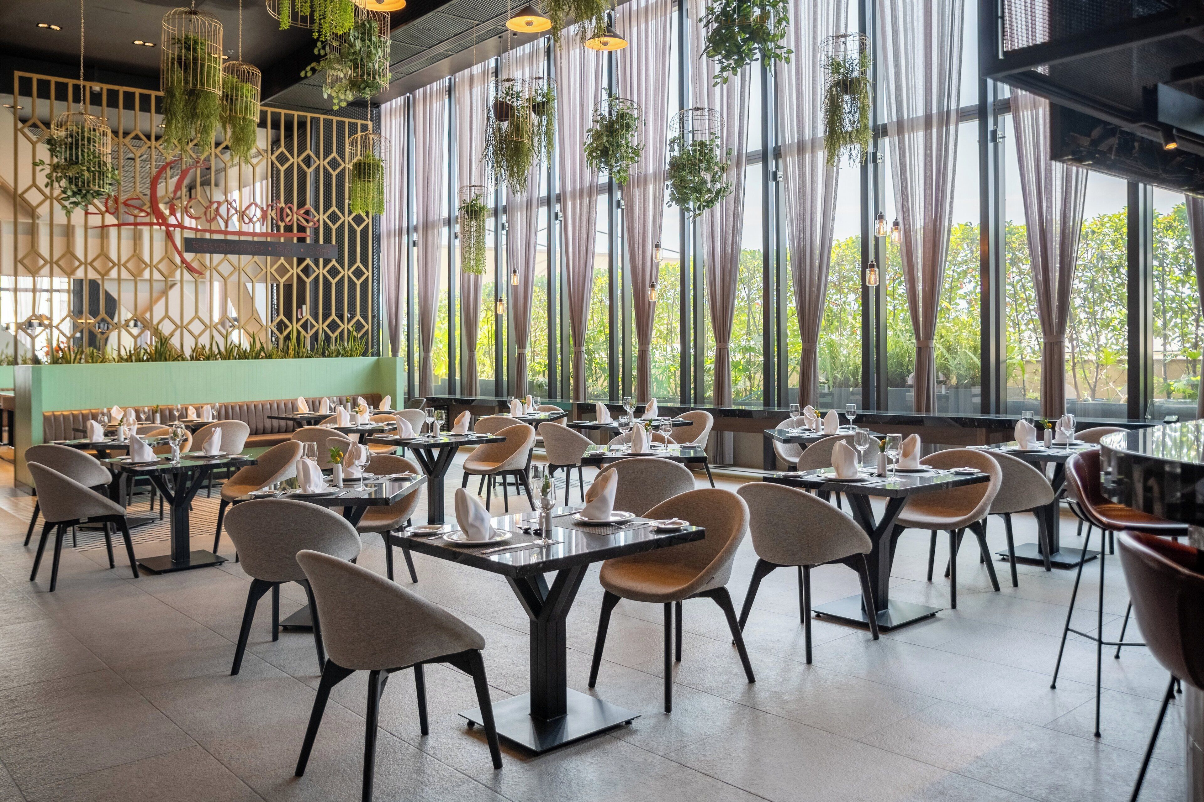 A modern restaurant with high ceilings, large windows, and hanging plants. Tables are neatly arranged with chairs, and a green counter is visible in the background.