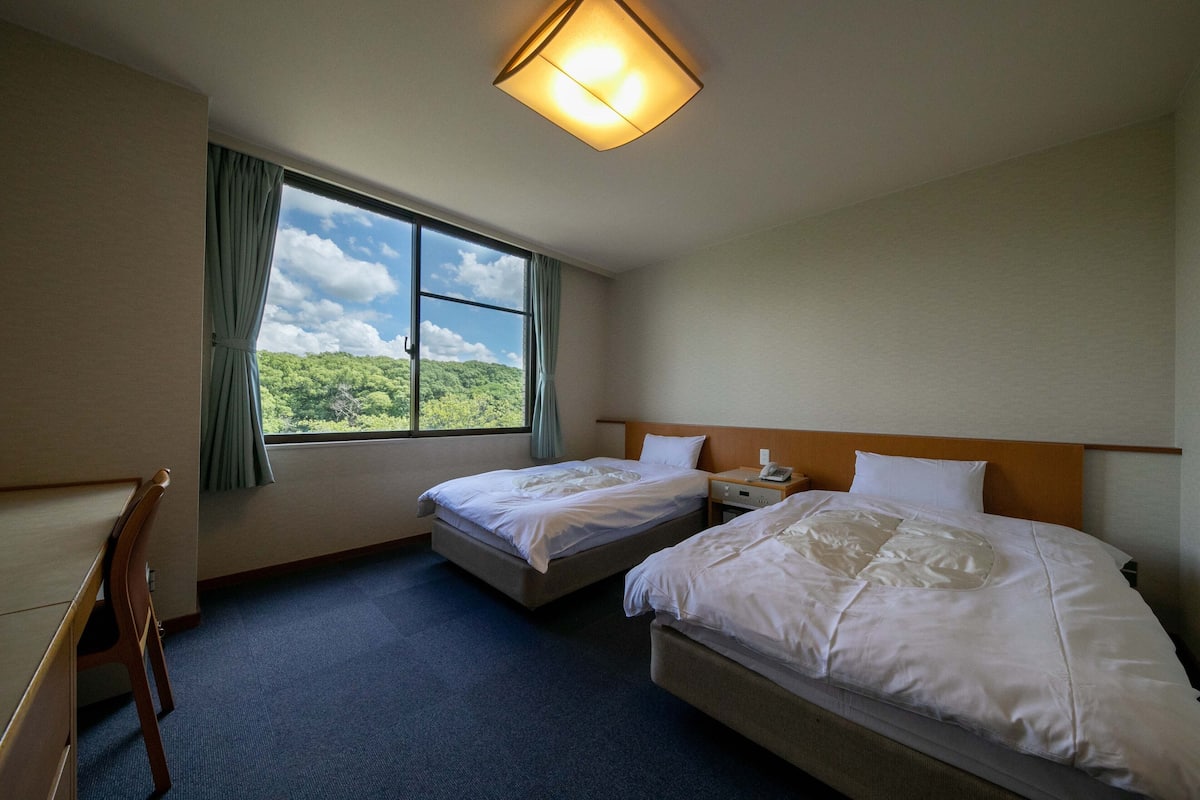 Zweibettzimmer | Bügeleisen/Bügelbrett, kostenloses WLAN, Bettwäsche