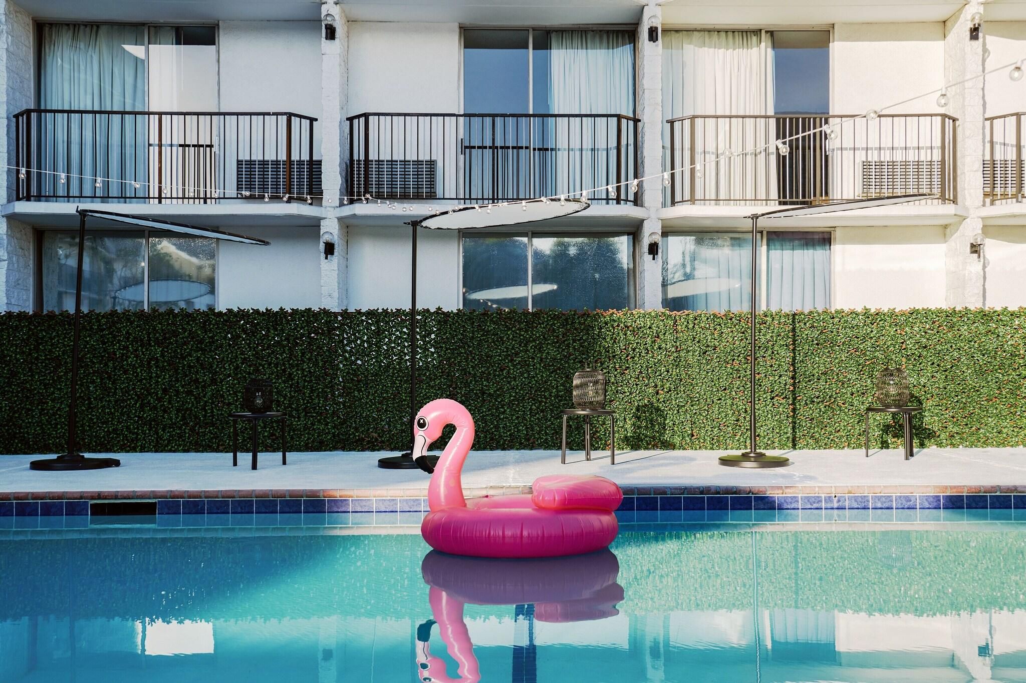 A swimming pool with a pink flamingo float, a hedge, and a building with balconies.