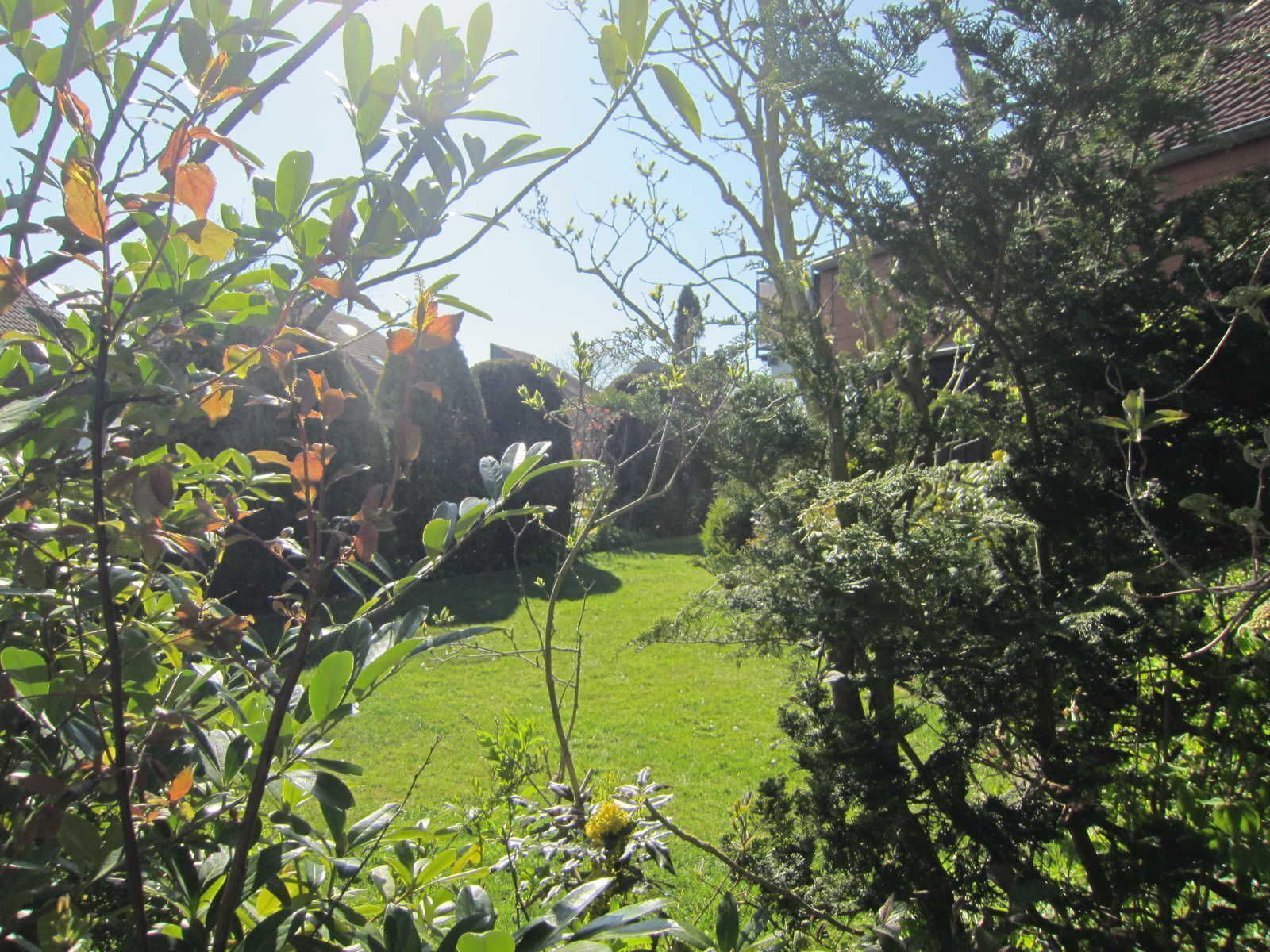Ein üppiger Garten mit verschiedenen Pflanzen und Bäumen, einem gepflegten Rasen und blauem Himmel.