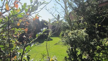 Ein üppiger Garten mit verschiedenen Pflanzen und Bäumen, einem gepflegten Rasen und blauem Himmel.