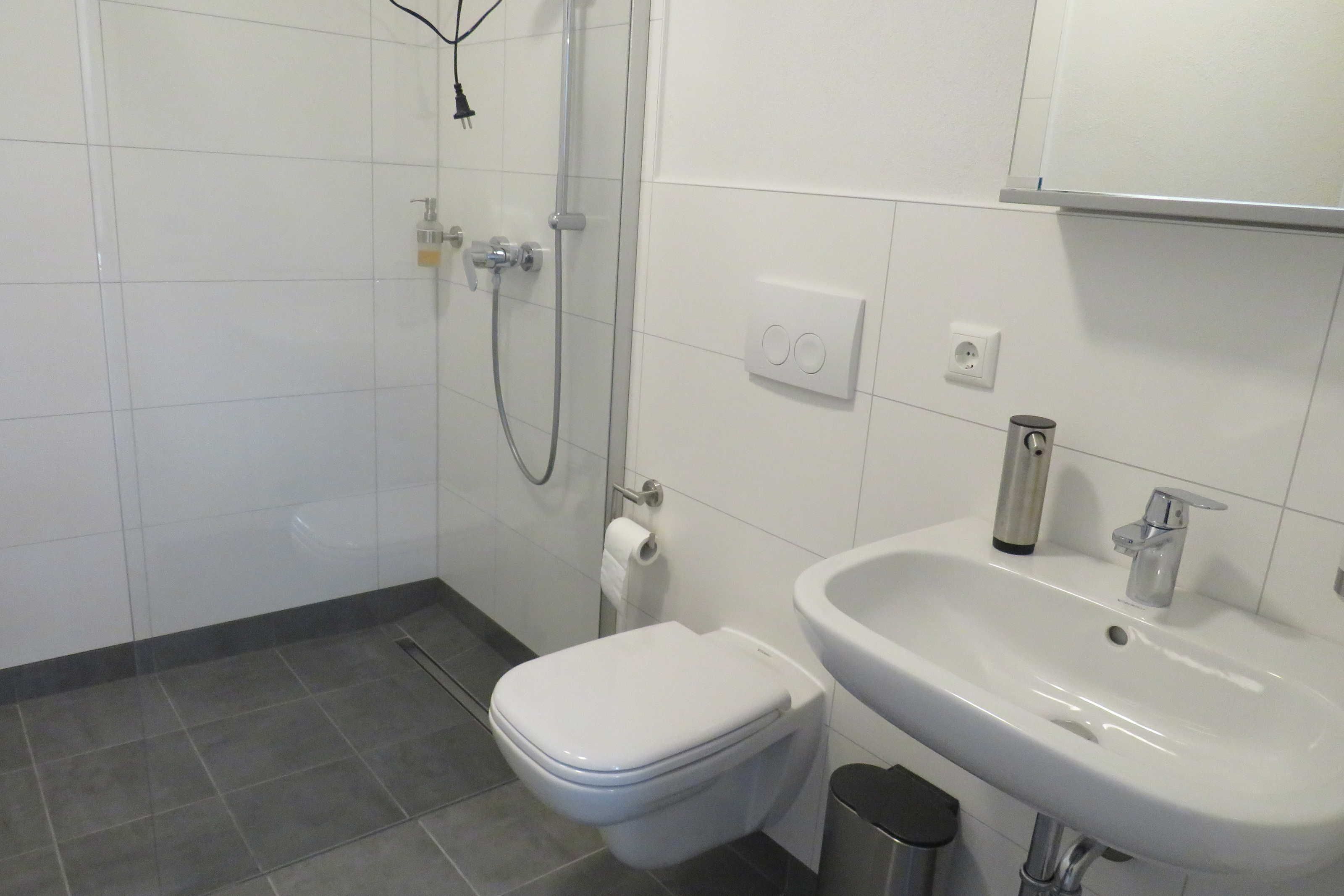 Dusch, gratis toalettartiklar, hårtork och handdukar