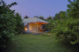 Deluxe Tent | Exterior