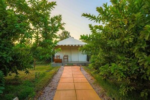 Deluxe Tent | Blick auf den Garten