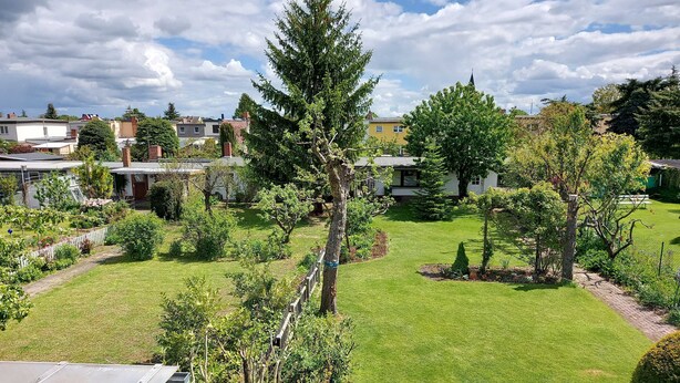 Zona residencial amb un jardí ben cuidat, diversos arbres i cases al fons.