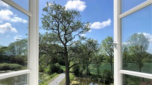 Vista a través de una ventana: un sendero bordeado de árboles junto a un estanque, bajo un cielo despejado.