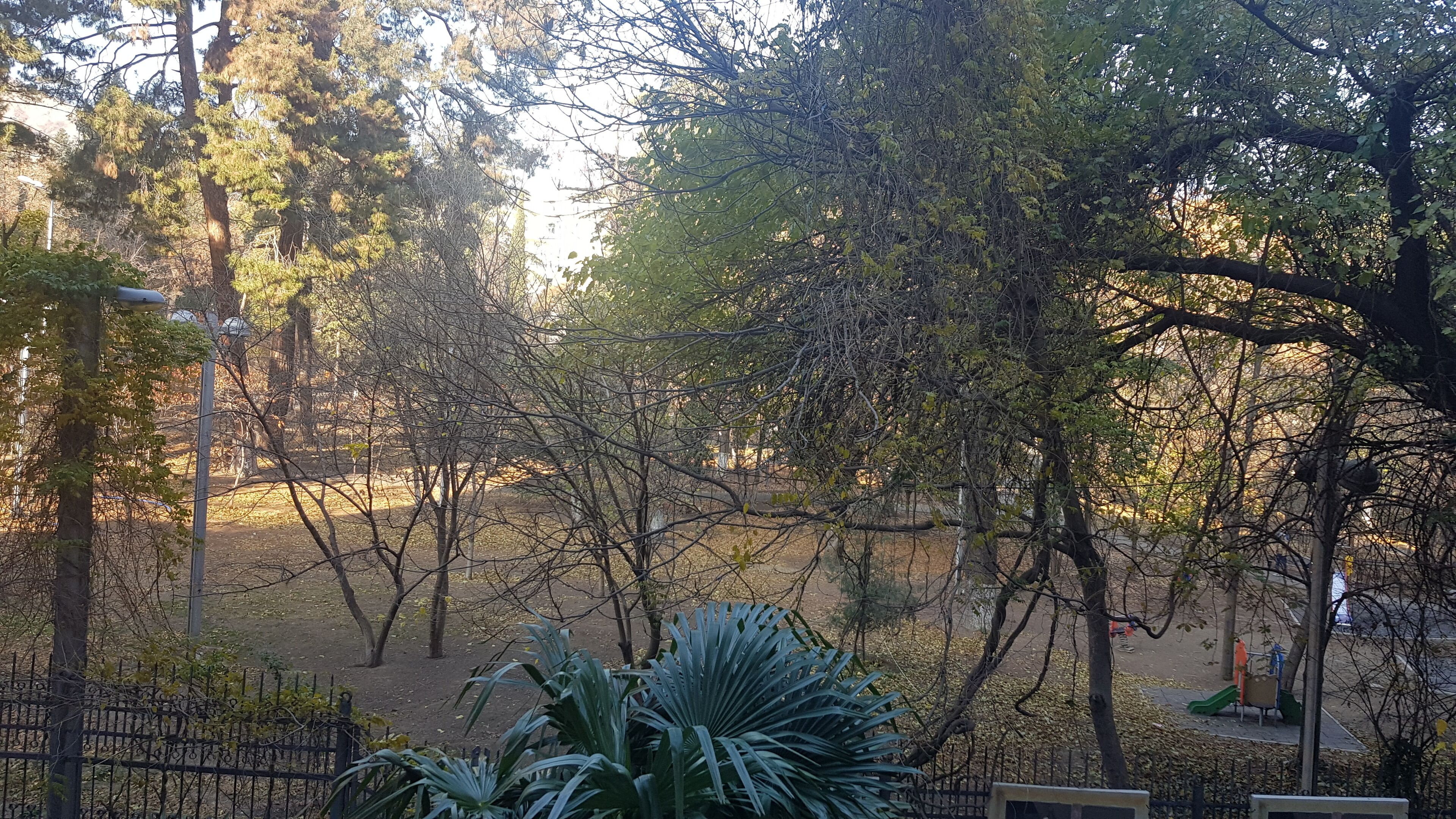 small twin room | view from room