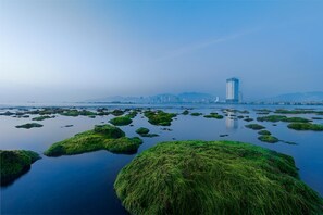 A coastal landscape with green moss-covered rocks in the foreground and a city skyline in the background. - Titan Hotel (Formerly known as Golden Lotus Central) (Nha Trang)