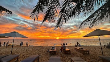 Bar de plage